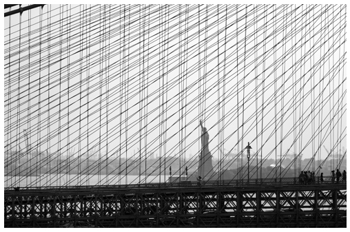 Photographie 13